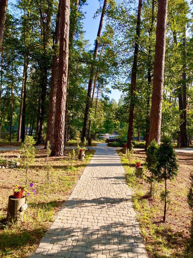 Resort Stariy Prud Pylypovychi Екстериор снимка